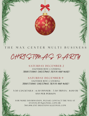 Max Center Multi-Business Christmas #2